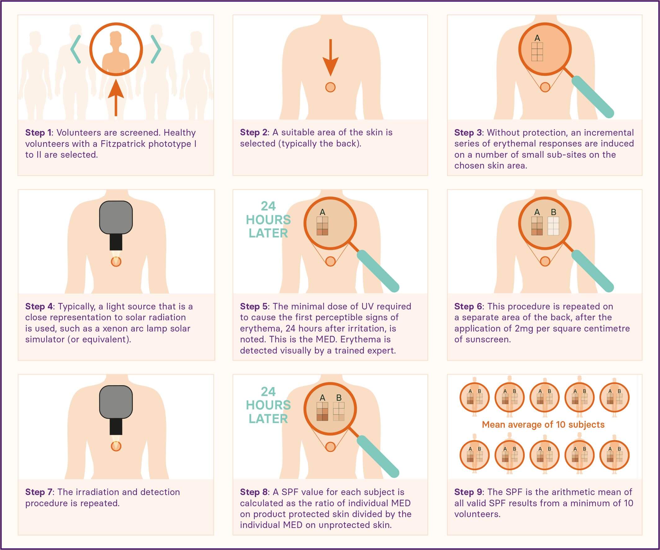 Calculating SPF, using MED testing