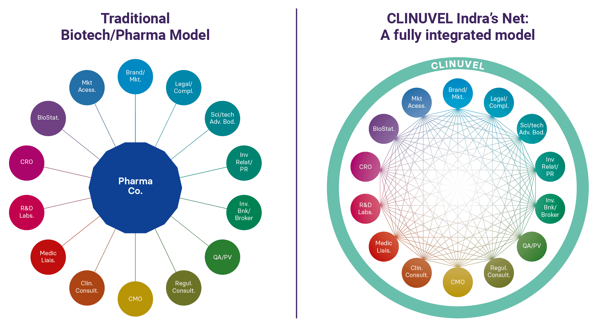 CLINUVELS Indra's Net: A fully integrated model