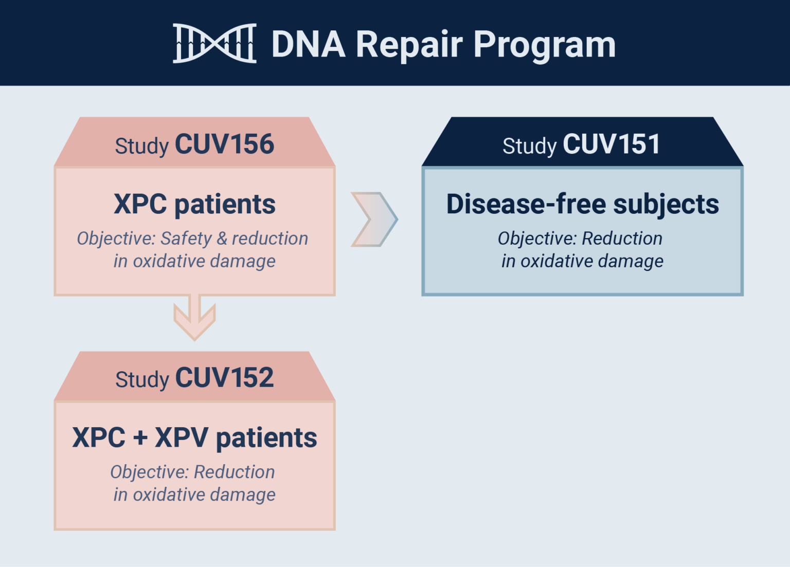 Diagram: DNA repair clinical programme