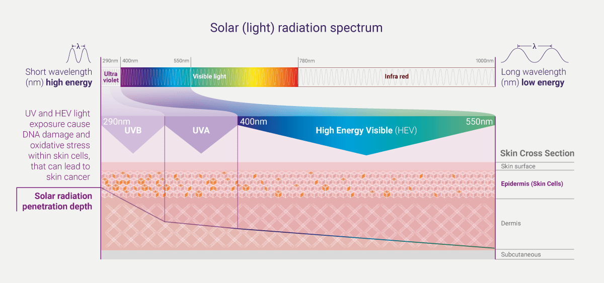 Diagram: Penetration of UVB, UVA and HEV light into the skin